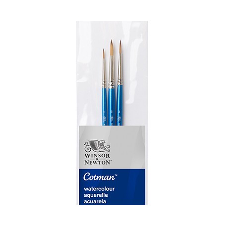 cotman watercolour winsor newton