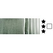 181 Rare Green Earth akwarela Daniel Smith