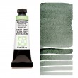 181 Rare Green Earth akwarela Daniel Smith