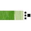 cadmium green farba olejna w sztyfcie R&F