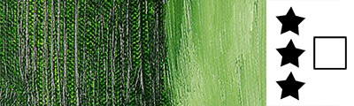 sap green farba olejna w sztyfcie R&F
