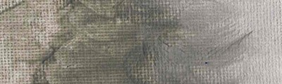 3050 SF French ardoise grey Williamsburg 37ml