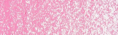 077 Pale pink madder lake pastel olejna Sennelier
