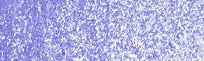 005 Ultramarine blue pastel olejna Sennelier