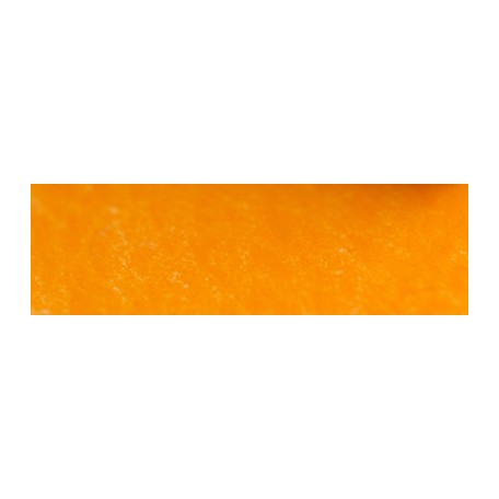 341 Bright yellow pastel sucha a l'ecu Sennelier