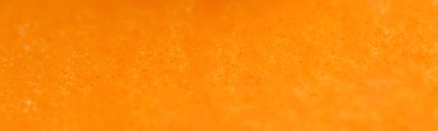 039 Orange lead pastel sucha a l'ecu Sennelier