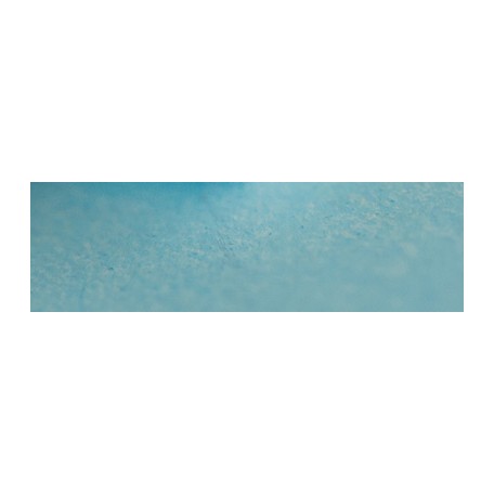 263 Cerulean blue pastel sucha a l ecu Sennelier