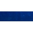 287 Prussian blue pastel sucha a l ecu Sennelier