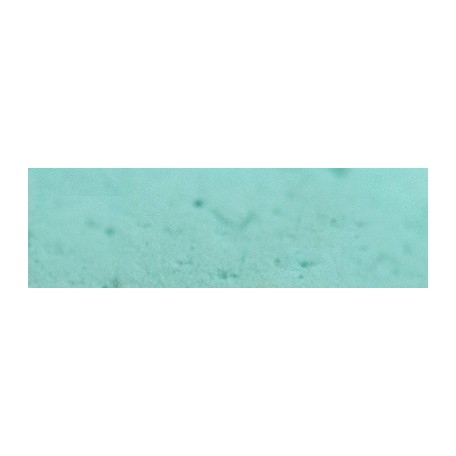351 Cinereous green pastel sucha a l ecu Sennelier