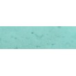 351 Cinereous green pastel sucha a l ecu Sennelier