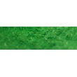 229 Chromium green pastel sucha a l ecu Sennelier