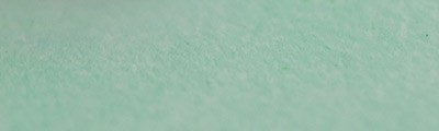 152 Lawn green pastel sucha a l ecu Sennelier
