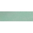 152 Lawn green pastel sucha a l ecu Sennelier