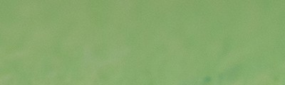 765 Baryte green pastel sucha a l' ecu Sennelier