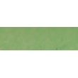 765 Baryte green pastel sucha a l' ecu Sennelier