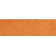 016 Flesh ochre pastel sucha a l' ecu Sennelier