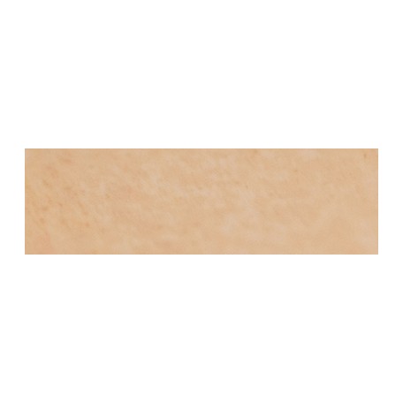 020 Flesh ochre pastel sucha a l' ecu Sennelier