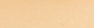 131 Golden ochre pastel sucha a l' ecu Sennelier