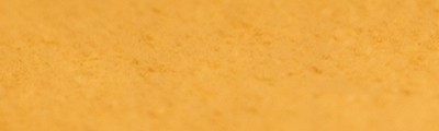 113 Yellow ochre pastel sucha a l' ecu Sennelier