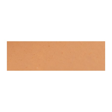 010 Red brown, pastel sucha a l' ecu Sennelier