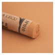 010 Red brown, pastel sucha a l' ecu Sennelier