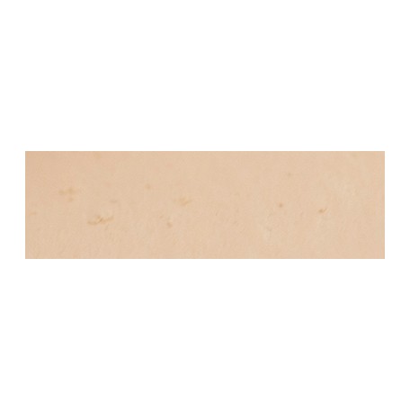 012 Red brown, pastel sucha a l' ecu Sennelier