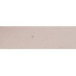 315 Madder violet, pastel sucha a l' ecu Sennelier