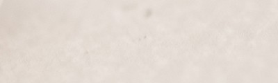484 Violasceous grey, pastel sucha a l' ecu Sennelier