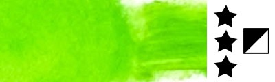 21 Zieleń Trwała Oil Solid Renesans 40 ml