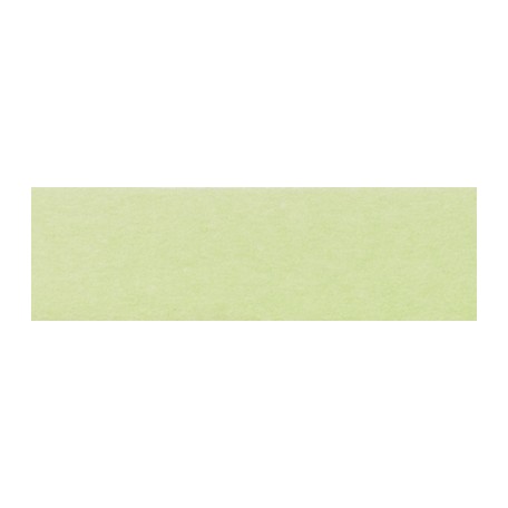 601 Light Green, pisak Ecoline Duo Tip, Talens