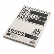 Blok na spirali Grey Recycled Aurora A5