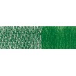 Hooker's green Derwent INKTENSE