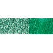Vivid green Derwent INKTENSE