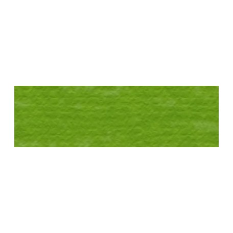 23 Olive Green, pastel olejna Renesans