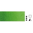 530 Sap Green, akwarela Horadam Schmincke 5 ml