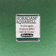 521 Hooker's Green, akwarela półkostka Horadam Schmincke