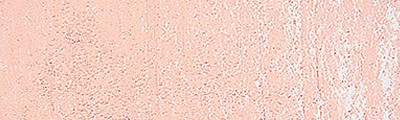 042O Permanent Red 1 pale, pastel sucha Schmincke