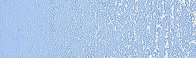 066O Prussian Blue, pastel sucha Schmincke
