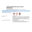 Vitrail Lefranc & Bourgeois