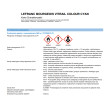 Vitrail Lefranc & Bourgeois