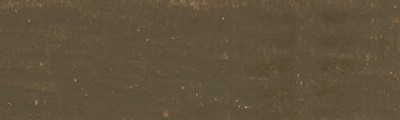 548 Raw Umber, woskowo-olejna pastel Neoart 6901