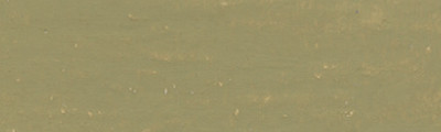 736 Olive Brown 50%, woskowo-olejna pastel Neoart 6901
