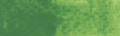 505 Ivy Green, farba akwarelowa Gansai Tambi, Kuretake