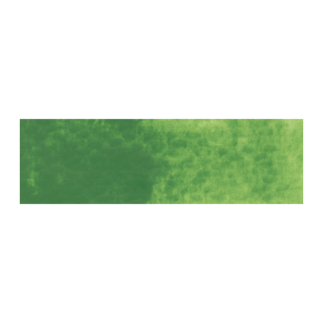 505 Ivy Green, farba akwarelowa Gansai Tambi, Kuretake