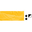 227 Yellow Middle, farba akrylowa Phoenix Studio 100 ml