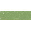 173 Moss Grey Green, Pastel Pencil Sennelier