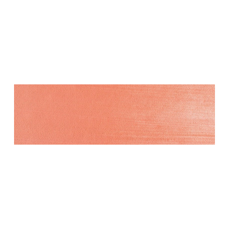 310.6 PanPastel Vermilion Medium 9 ml