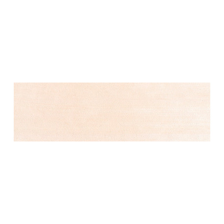 310.8 PanPastel Vermilion Tint 9 ml