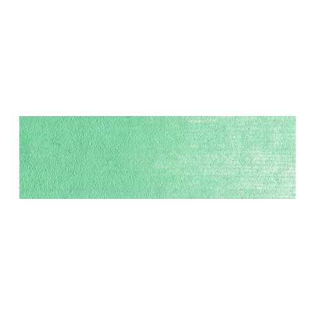 640.7 PanPastel Permanent Green Light 9 ml