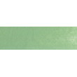 660.7 PanPastel Chromium Oxide Green Light 9 ml